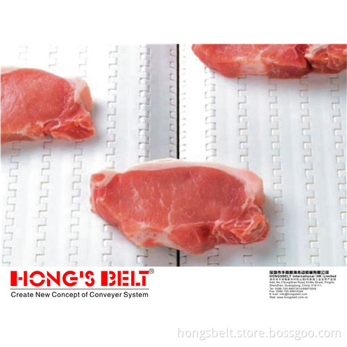 Modular Plastic Conveyor Belt (HS-200A)